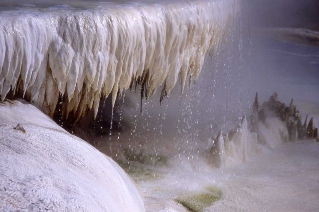 Close up of Minerva Terrace - Mammoth Hot Springs Picture