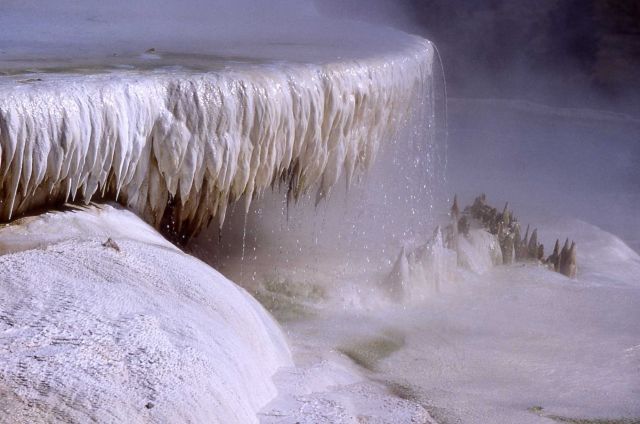 Close up of Minerva Terrace - Mammoth Hot Springs Picture