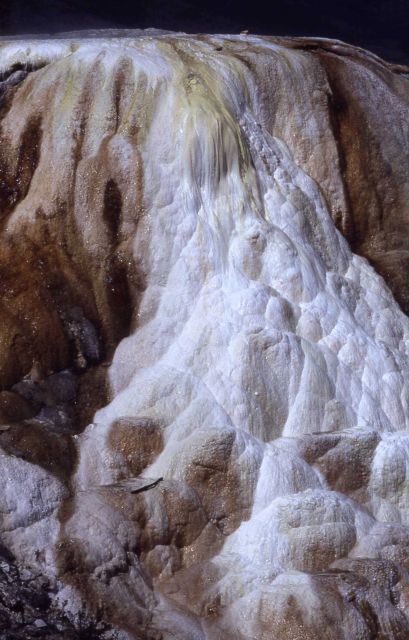 Cupid Spring - Mammoth Hot Springs Picture