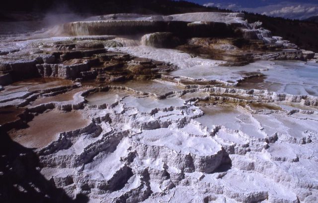 Minerva Terrace - Mammoth Hot Springs Picture