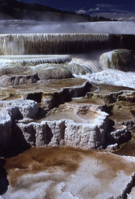 Minerva Terrace - Mammoth Hot Springs Picture