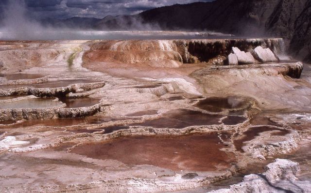 Canary Spring - Mammoth Hot Springs Picture