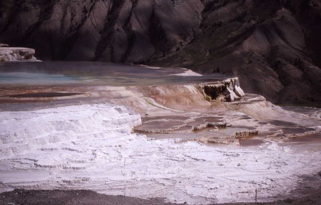 Canary Spring - Mammoth Hot Springs Picture