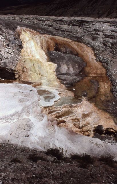 Cupid Spring - Mammoth Hot Springs Picture