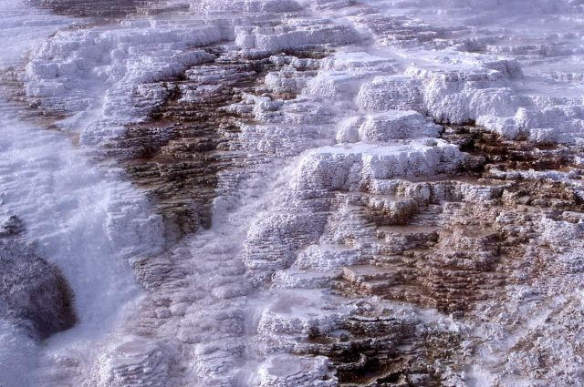 Minerva Terrace - Mammoth Hot Springs Picture