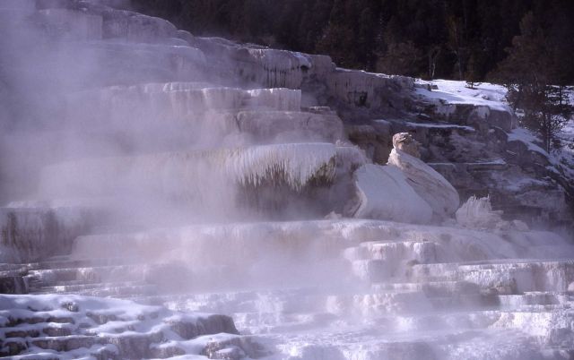 Minerva Terrace - Mammoth Hot Springs Picture