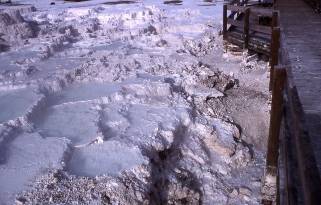 Minerva Terrace after removal of material near boardwalk - Mammoth Hot Springs Picture