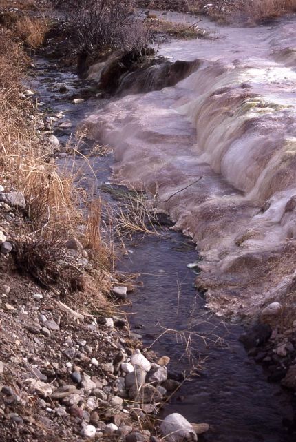 Hymen Springs Terrace beginning to block stream - Mammoth Hot Springs Picture