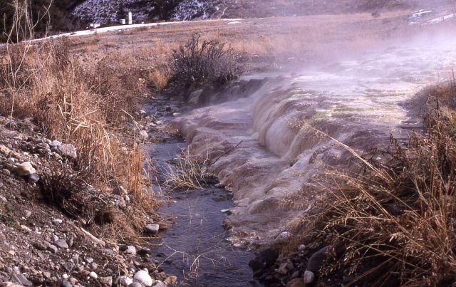 Hymen Springs Terrace beginning to block stream - Mammoth Hot Springs Picture