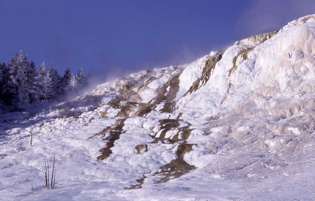 Canary Spring - Mammoth Hot Springs Picture