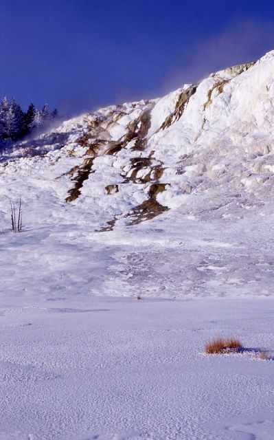 Canary Spring - Mammoth Hot Springs Picture