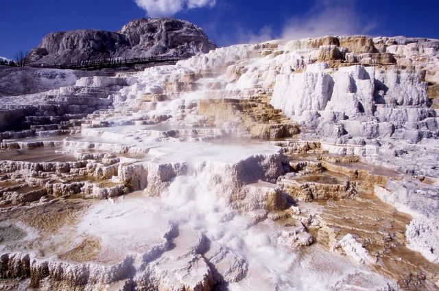 Minerva Terrace - Mammoth Hot Springs Picture