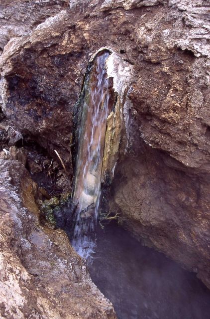 Hot spring waterfall in the Gardner River near Boiling River - Mammoth Hot Springs Picture