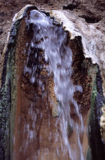 Hot spring waterfall in the Gardner River near Boiling River - Mammoth Hot Springs Picture