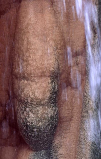 Close up of hot spring waterfall in the Gardner River near Boiling River - Mammoth Hot Springs Picture
