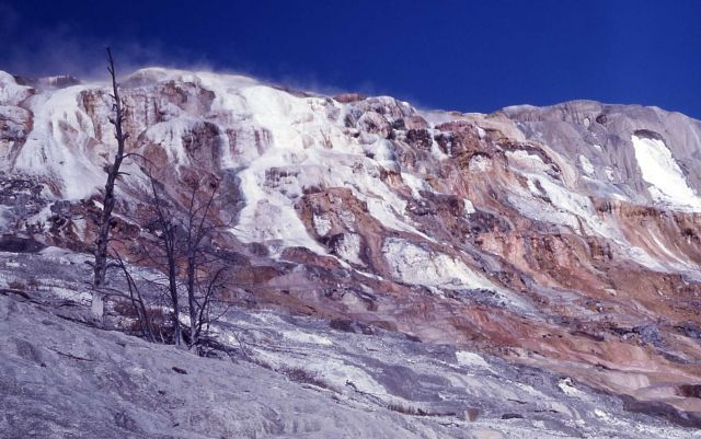 Jupiter Terrace - Mammoth Hot Springs Picture