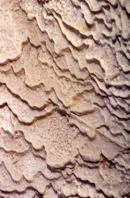 Travertine Terrace/Palette Spring - Mammoth Hot Springs Picture