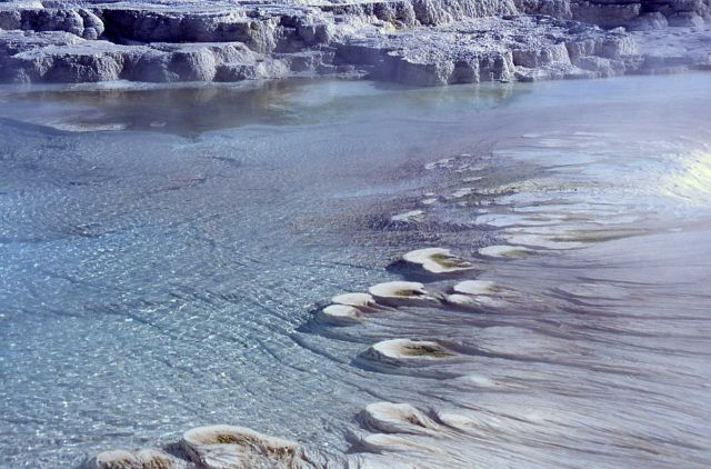 Canary Spring with filamentous bacteria in foreground - Mammoth Hot Springs Picture