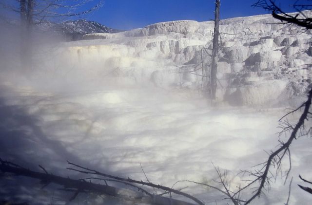 Canary Spring - Mammoth Hot Springs Picture