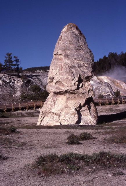 Liberty Cap with boardwalk behind - Mammoth Hot Springs Picture