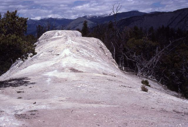 White Elephant Back - Mammoth Hot Springs Picture