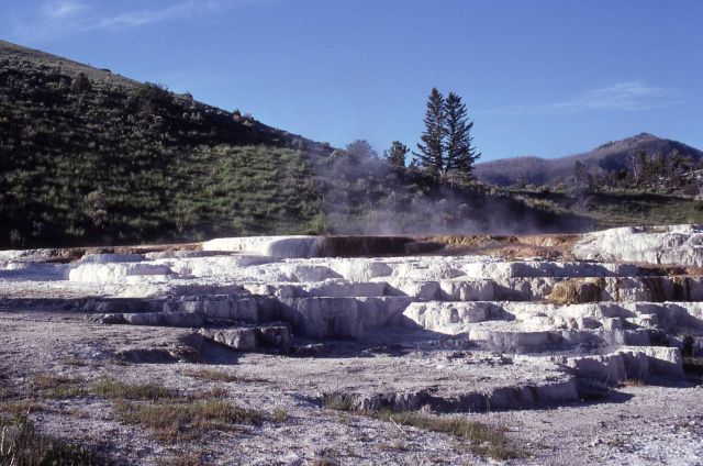 Opal Terrace with Capital Hill in background - Mammoth Hot Springs Picture