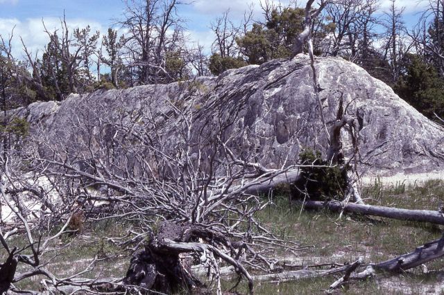 Side view of fissure ridge beside Upper Terrace loop drive - Mammoth Hot Springs Picture