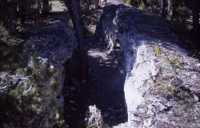 Eroded travertine fissure ridge in Upper Terrace area - Mammoth Hot Springs Picture