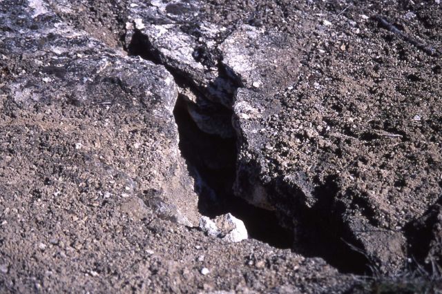 Eroded travertine fissure ridge in Upper Terrace area - Mammoth Hot Springs Picture