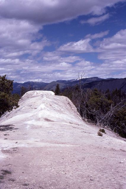 White Elephant Back - Mammoth Hot Springs Picture