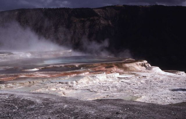 Canary Spring - Mammoth Hot Springs Picture