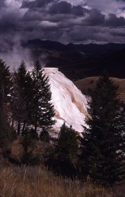 Canary Spring - Mammoth Hot Springs Picture