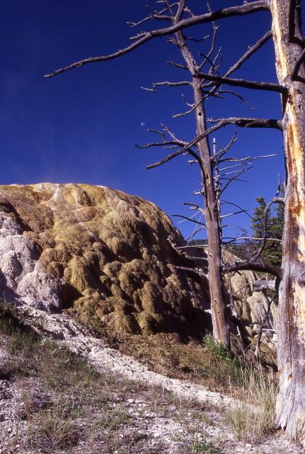 Orange Spring Mound - Mammoth Hot Springs Picture