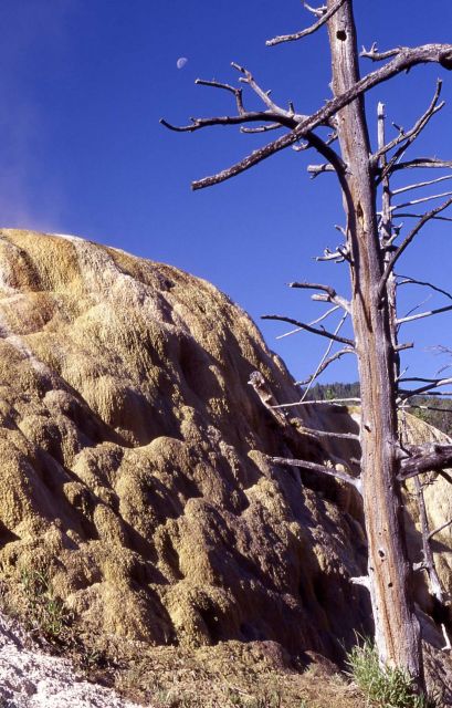 Orange Spring Mound - Mammoth Hot Springs Picture