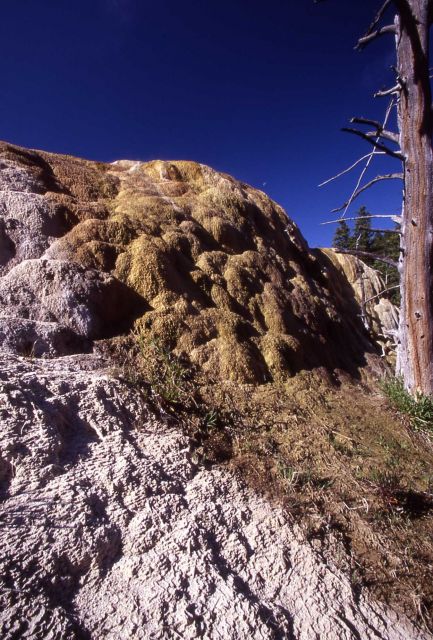 Orange Spring Mound - Mammoth Hot Springs Picture