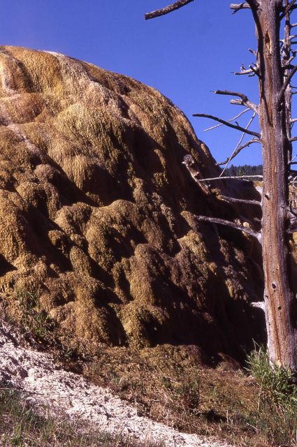 Orange Spring Mound - Mammoth Hot Springs Picture
