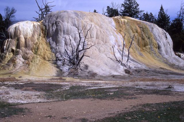 Orange Spring Mound - Mammoth Hot Springs Picture
