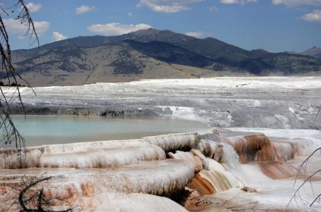 Canary Spring with Sheep Mt in background - Mammoth Hot Springs Picture