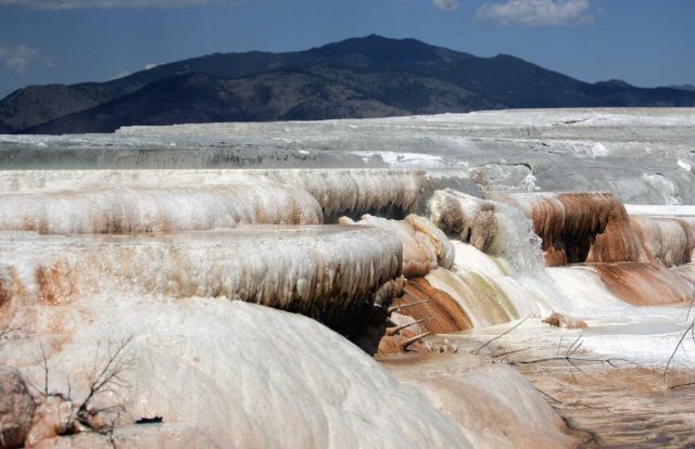Canary Spring with Sheep Mt in background - Mammoth Hot Springs Picture