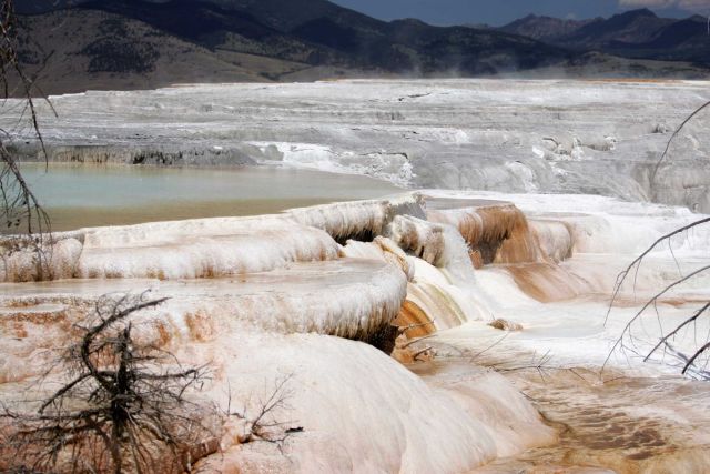 Canary Spring - Mammoth Hot Springs Picture