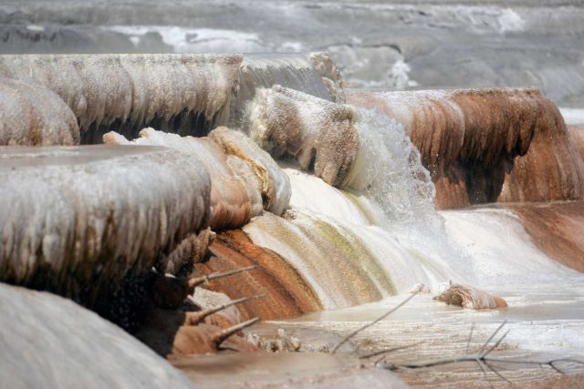 Canary Spring - Mammoth Hot Springs Picture