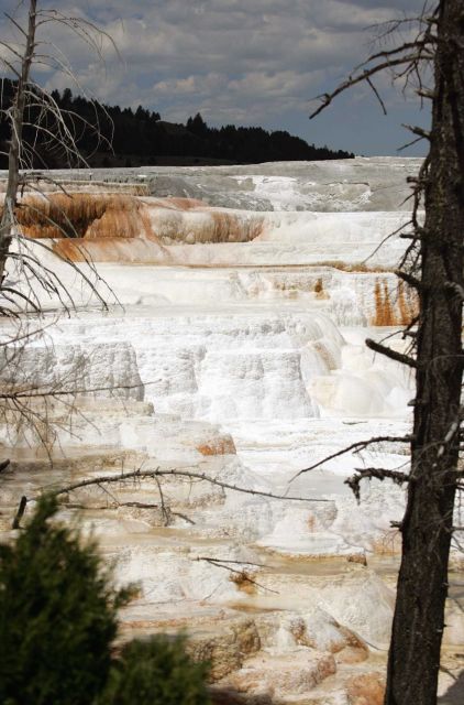 Canary Spring - Mammoth Hot Springs Picture