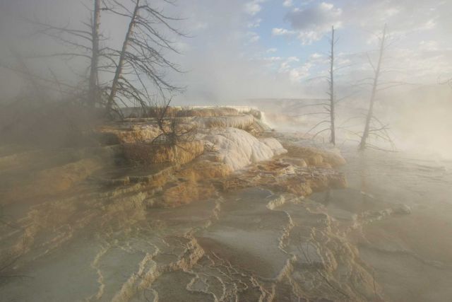 Canary Spring - Mammoth Hot Springs Picture