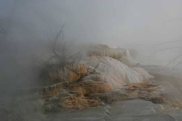 Canary Spring - Mammoth Hot Springs Picture
