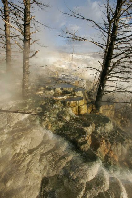 Canary Spring - Mammoth Hot Springs Picture