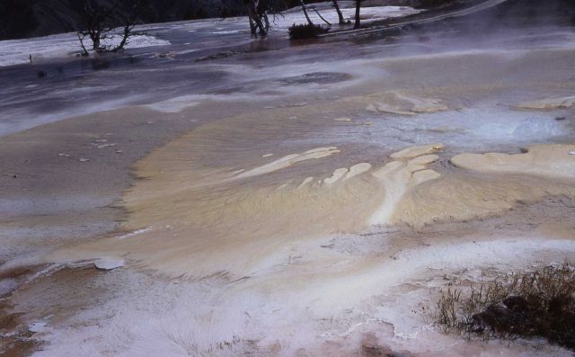 Main Terrace - Mammoth Hot Springs Picture
