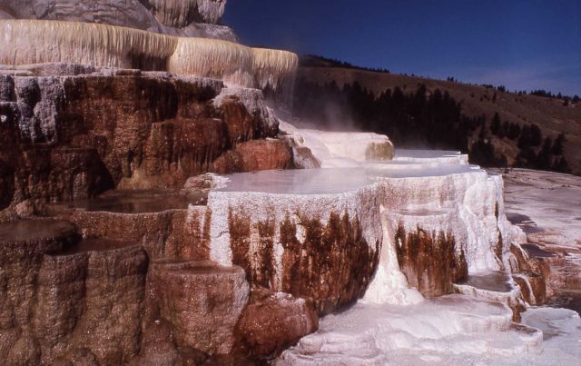 Minerva Terrace & Spring - Mammoth Hot Springs Picture
