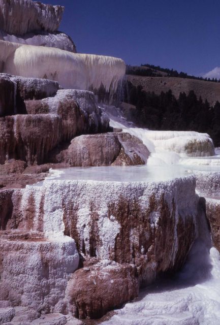 Minerva Terrace & Spring - Mammoth Hot Springs Picture
