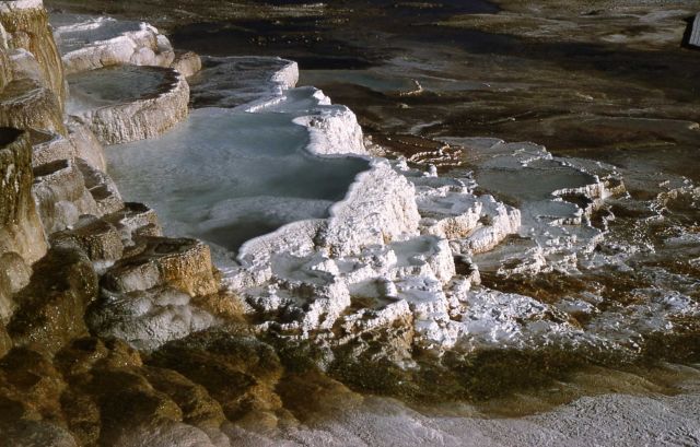 Minerva Terrace & Spring - Mammoth Hot Springs Picture