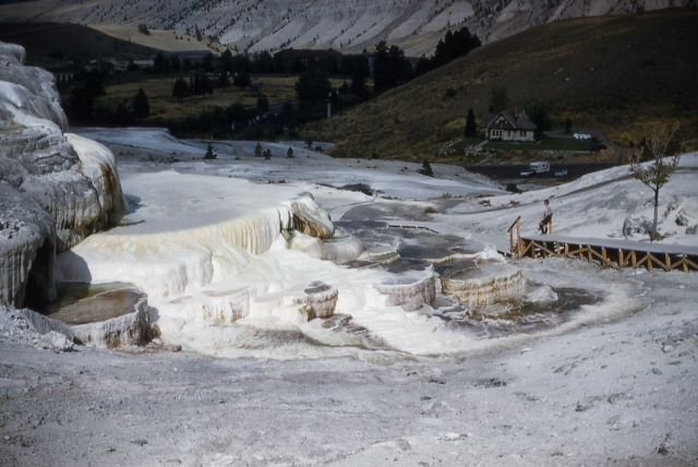 Minerva Terrace & Spring - Mammoth Hot Springs Picture